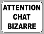 ATTENTION CHAT BIZARRE AA171