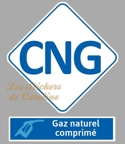 2  x GAZ NATUREL CNG