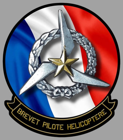 BREVET PILOTE HELICO BZ020