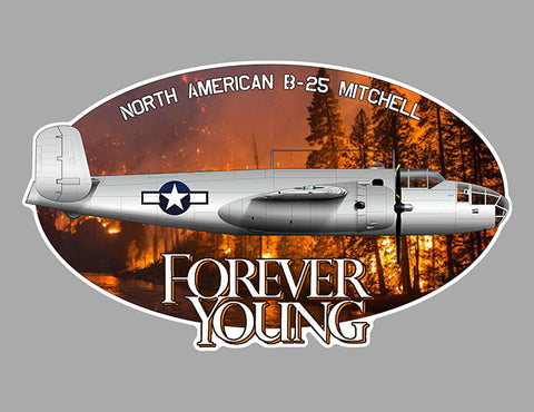AVION B25 FOREVER YOUNG FB025