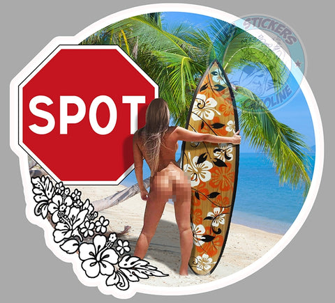 SURF SPOT PINUP PLANCHE SD090